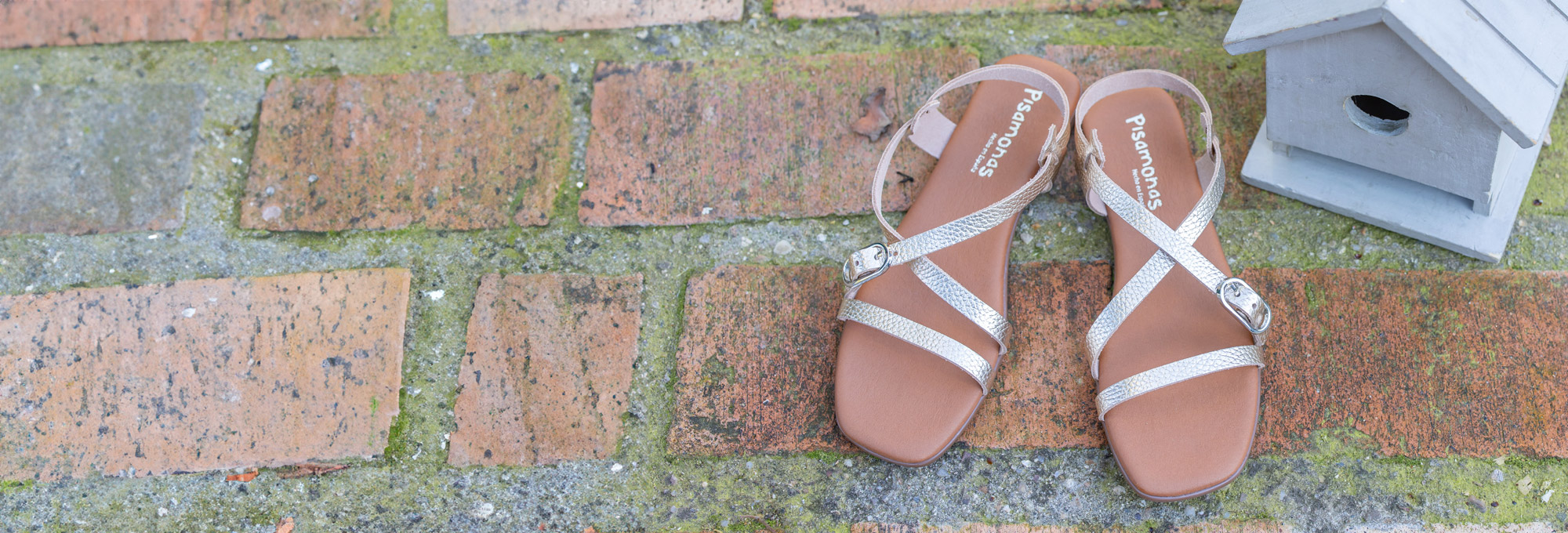 Was passt am besten zu deinem Sommer?