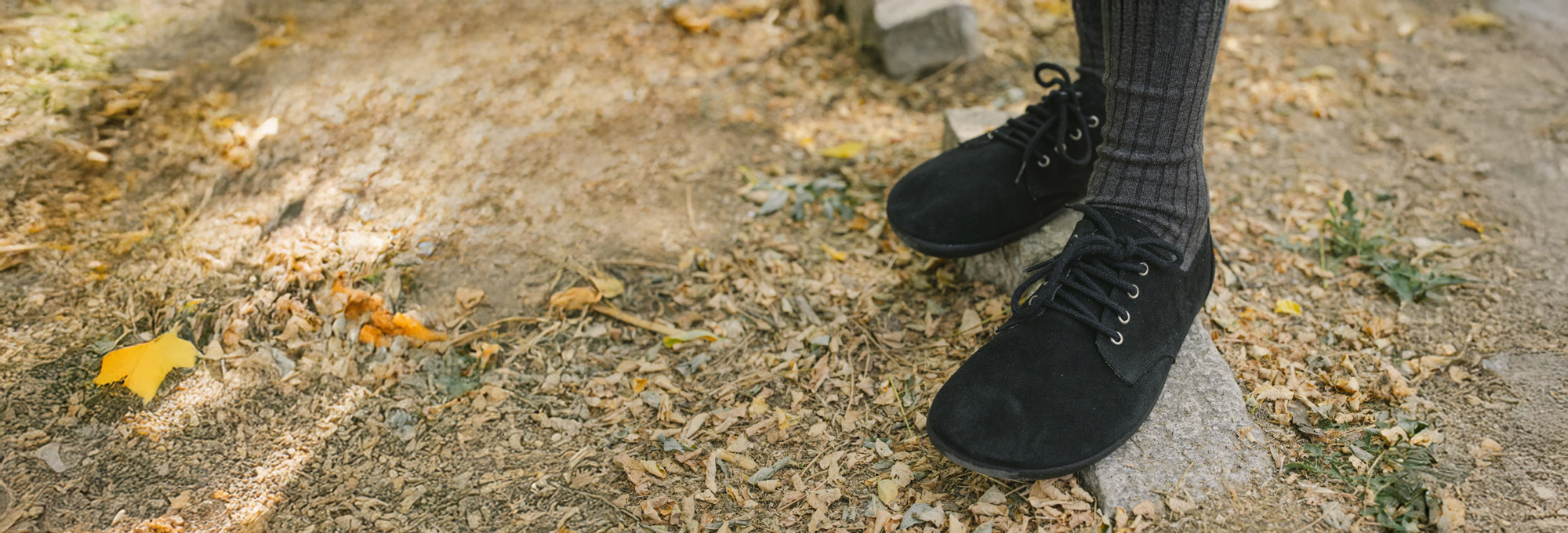 HERBSTSPAZIERGÄNGE